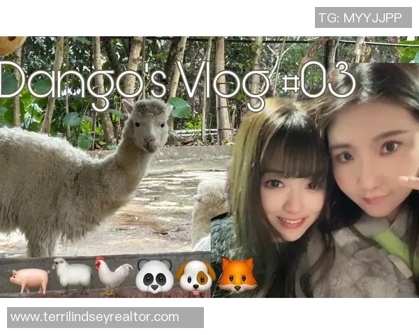 dango比赛-Dango比赛，传统与现代舞技的碰撞与挑战-dango比赛